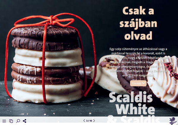 Pagina van online magazine Zeelandia Magyar